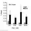 Fig. 48 - Polycomb-associated non-coding RNAs