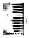 Fig. 02 - Recombinant RNA particles and methods of producing proteins