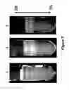 Fig. 08 - Recombinant RNA particles and methods of producing proteins