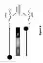 Fig. 09 - Recombinant RNA particles and methods of producing proteins