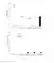 Fig. 06 - STABILIZATION OF CYTOCHROME P450 REDUCTASE