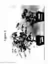 Fig. 05 - COMPOSITIONS AND METHODS FOR REDUCING PATHOGEN-INDUCED CITRUS GREENING