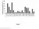 Fig. 02 - Regulatory nucleic acid molecules for enhancing seed-specific and/or seed-preferential gene expression in plants
