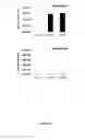 Fig. 06 - Regulatory nucleic acid molecules for enhancing seed-specific and/or seed-preferential gene expression in plants