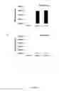 Fig. 06 - Regulatory nucleic acid molecules for enhancing seed-specific and/or seed-preferential gene expression in plants
