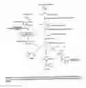 Fig. 02 - Nucleic acid encoding N-methylputrescine oxidase and uses thereof