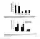 Fig. 06 - Nucleic acid encoding N-methylputrescine oxidase and uses thereof