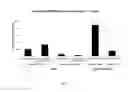Fig. 08 - Wheat with reduced lipoxygenase activity
