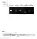 Fig. 03 - Polynucleotide encoding NF-YB derived from jatropha and use thereof