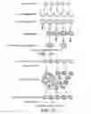 Fig. 06 - Engineered Cellular Pathways for Programmed Autoregulation of Differentiation