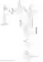 Fig. 10 - Nonribosomal peptide synthetases