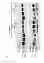 Fig. 08 - Vertebrate cells and methods for recombinantly expressing a polypeptide of interest