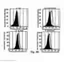 Fig. 08 - Probes for rapid and specific detection of mycobacteria