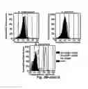 Fig. 09 - Probes for rapid and specific detection of mycobacteria