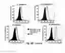 Fig. 16 - Probes for rapid and specific detection of mycobacteria