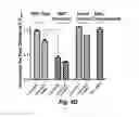Fig. 20 - Probes for rapid and specific detection of mycobacteria