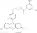 Fig. 34 - Probes for rapid and specific detection of mycobacteria
