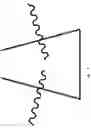 Fig. 48 - Probes for rapid and specific detection of mycobacteria