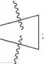 Fig. 63 - Probes for rapid and specific detection of mycobacteria