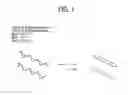 Fig. 02 - COMPOSITIONS FOR RECOMBINASE POLYMERASE AMPLIFICATION