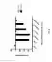 Fig. 07 - Colorimetric detection of nucleic acid amplification