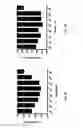 Fig. 13 - Colorimetric detection of nucleic acid amplification