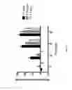 Fig. 17 - Colorimetric detection of nucleic acid amplification