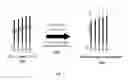 Fig. 06 - Methods for synchronizing nucleic acid molecules