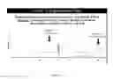 Fig. 22 - Methods for synchronizing nucleic acid molecules