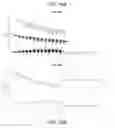 Fig. 34 - Phase-protecting reagent flow ordering for use in sequencing-by-synthesis