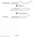 Fig. 03 - Single-molecule sequencing of plasma DNA