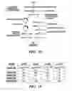 Fig. 05 - High throughput genome-wide translocation sequencing
