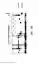 Fig. 16 - High throughput genome-wide translocation sequencing