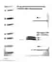 Fig. 07 - METHODS OF SELECTING ANTIBODIES AND ANTIBODY FRAGMENTS