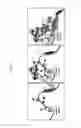 Fig. 02 - REACTIVATION OF X CHROMOSOME GENES