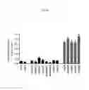 Fig. 08 - REACTIVATION OF X CHROMOSOME GENES