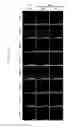 Fig. 11 - REACTIVATION OF X CHROMOSOME GENES