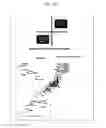 Fig. 25 - REACTIVATION OF X CHROMOSOME GENES