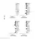 Fig. 29 - REACTIVATION OF X CHROMOSOME GENES