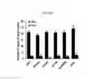 Fig. 32 - REACTIVATION OF X CHROMOSOME GENES