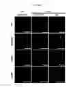 Fig. 42 - REACTIVATION OF X CHROMOSOME GENES
