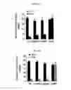 Fig. 43 - REACTIVATION OF X CHROMOSOME GENES