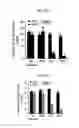 Fig. 49 - REACTIVATION OF X CHROMOSOME GENES