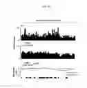 Fig. 68 - REACTIVATION OF X CHROMOSOME GENES