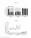 Fig. 70 - REACTIVATION OF X CHROMOSOME GENES