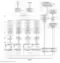Fig. 03 - COMPOSITIONS AND METHODS FOR GENETIC ANALYSIS OF EMBRYOS