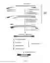 Fig. 09 - COMPOSITIONS AND METHODS FOR GENETIC ANALYSIS OF EMBRYOS
