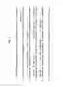 Fig. 02 - METHODS FOR RAPID DETECTION AND IDENTIFICATION OF VIRAL NUCLEIC ACIDS