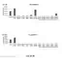Fig. 05 - Nitrate- and nitrite-reducing probiotic feed additive
