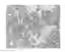 Fig. 01 - CO3W3C Fishbone-Like Hard Phase-Reinforced Fe-Based Wear-Resistant Coating and Preparation Thereof